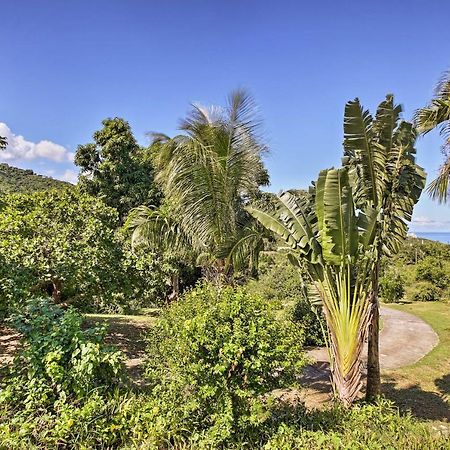 St Croix Home With Caribbean Views - 1 Mi To Beach La Vallee Dış mekan fotoğraf