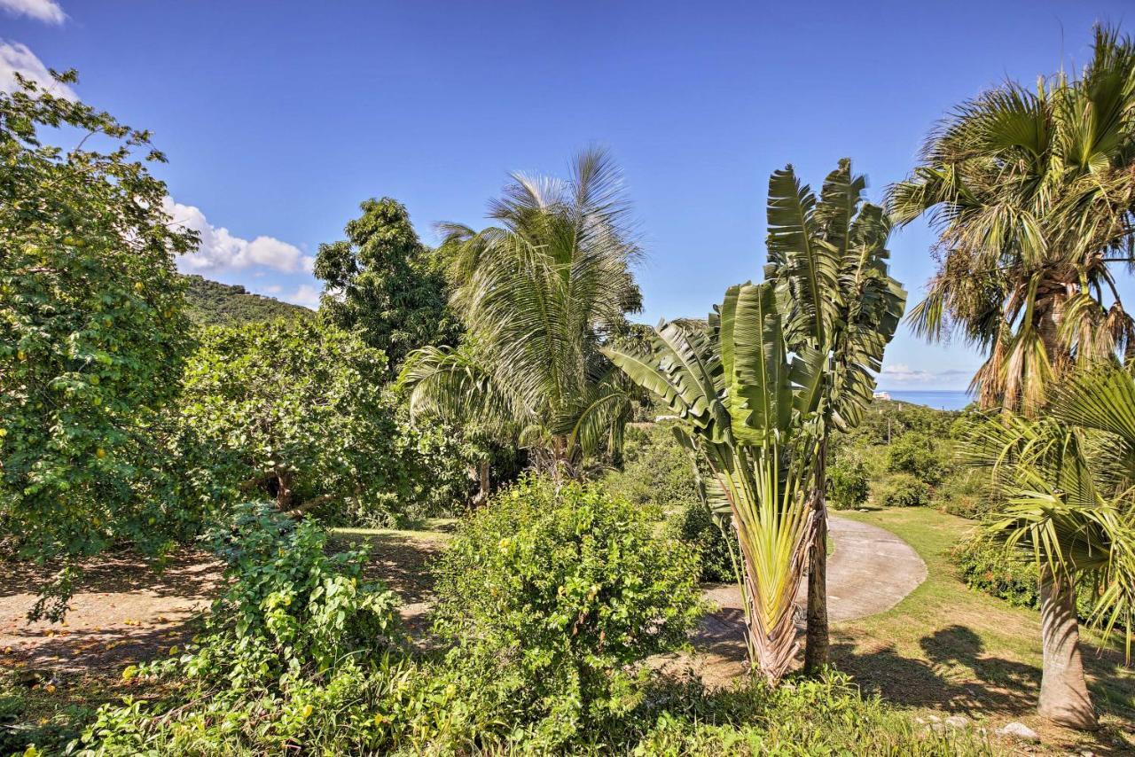 St Croix Home With Caribbean Views - 1 Mi To Beach La Vallee Dış mekan fotoğraf